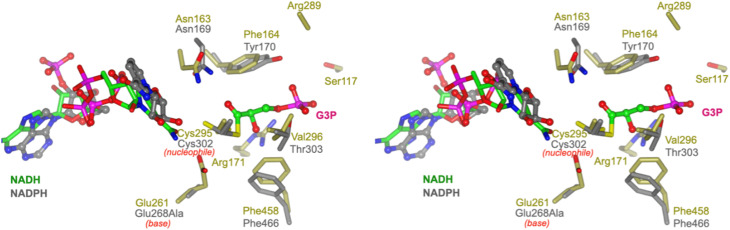 Fig. 6