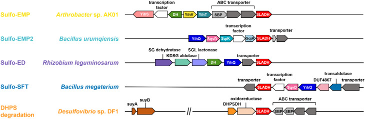 Fig. 2