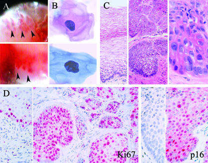 FIG. 1.