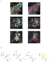 Extended Data Figure 6
