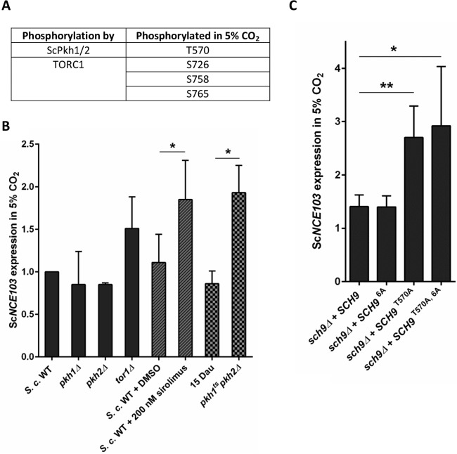 FIG 6 