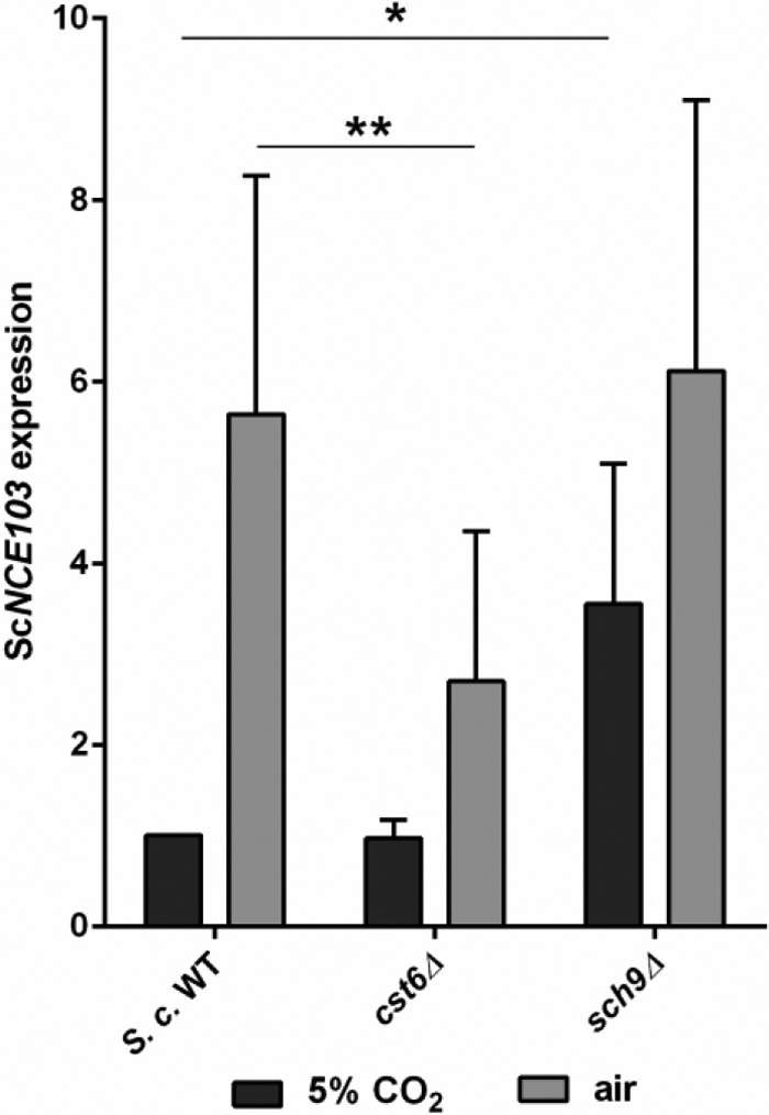 FIG 1 