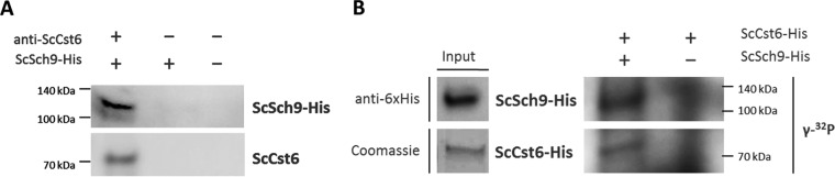 FIG 3 