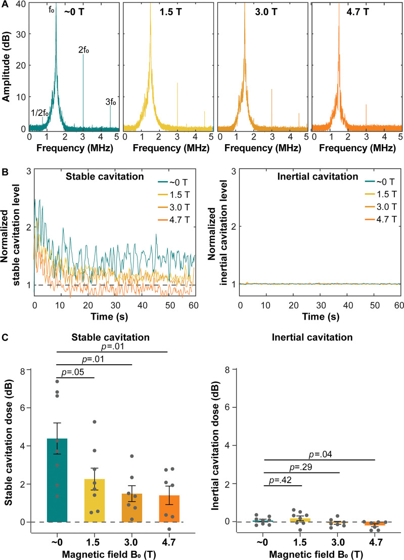 Cavitation activities in vivo during focused ultrasound sonication in different static magnetic fields. (A) Representative spectrums of passive cavitation detection (PCD) signals acquired during focused ultrasound sonication in approximately 0, 1.5, 3.0, and 4.7 T. f0 = fundamental frequency of focused ultrasound. (B) Representative plots of normalized stable cavitation level (left) and inertial cavitation level (right) as a function of time for mice treated in different magnetic fields. (C) Stable cavitation doses (left) and inertial cavitation doses (right) of mice sonicated in different magnetic fields. Each dot represents a measurement from one mouse. Error bars indicate standard error of the mean.