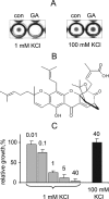 FIGURE 1.