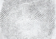 [Table/Fig-3]: