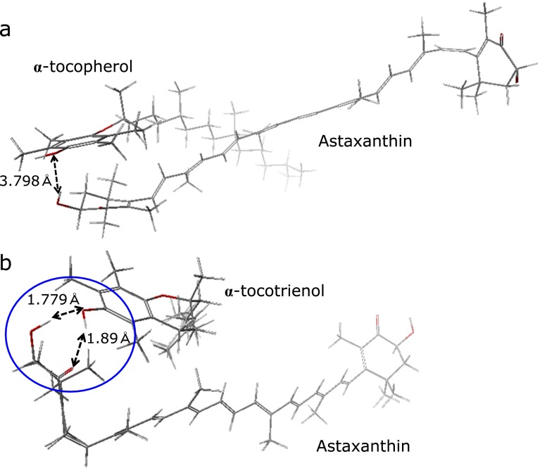 Fig. 7