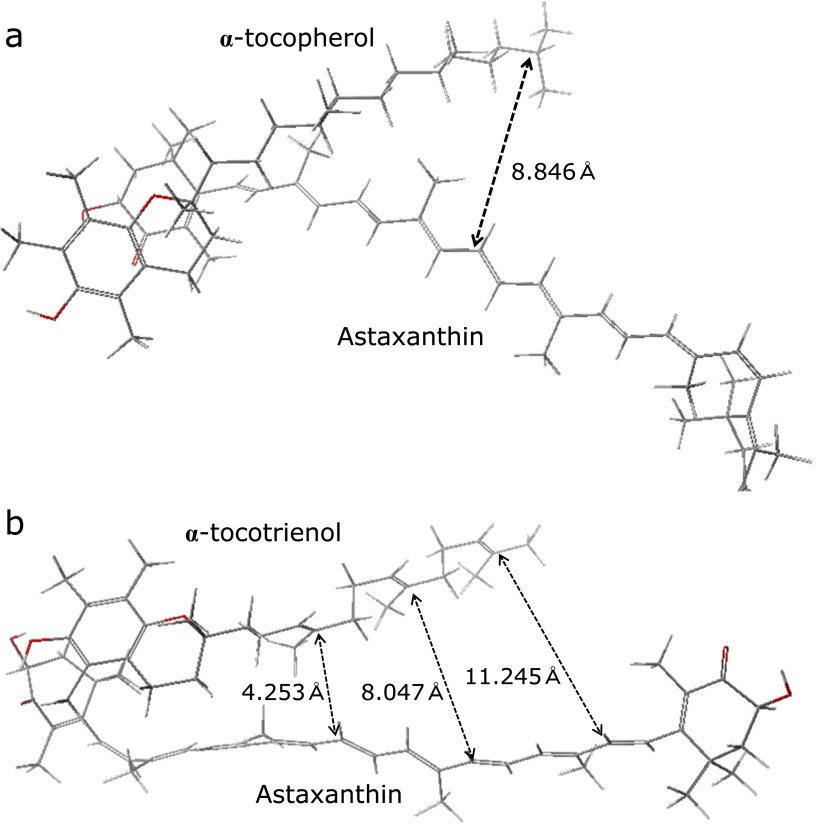 Fig. 8