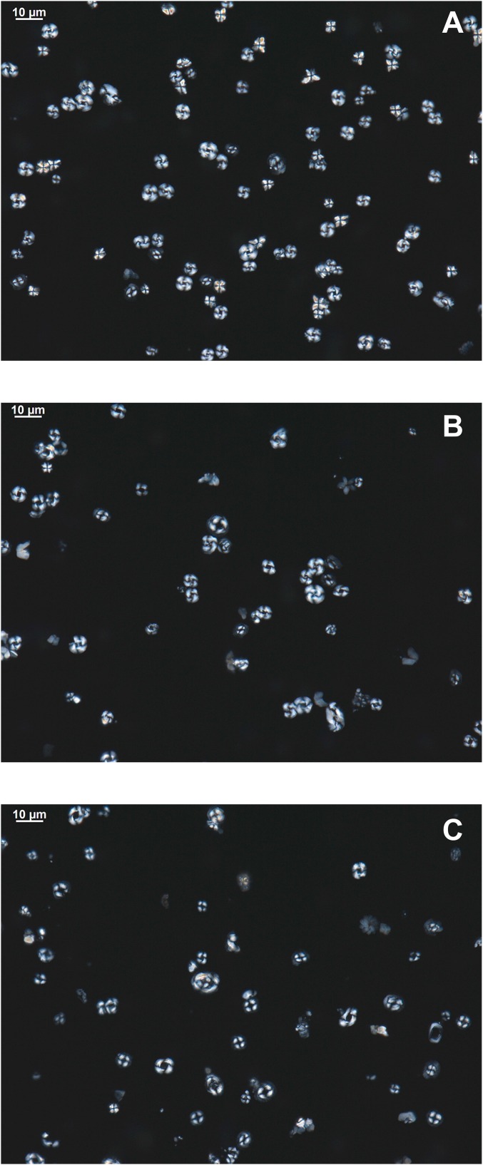 Fig. S6.