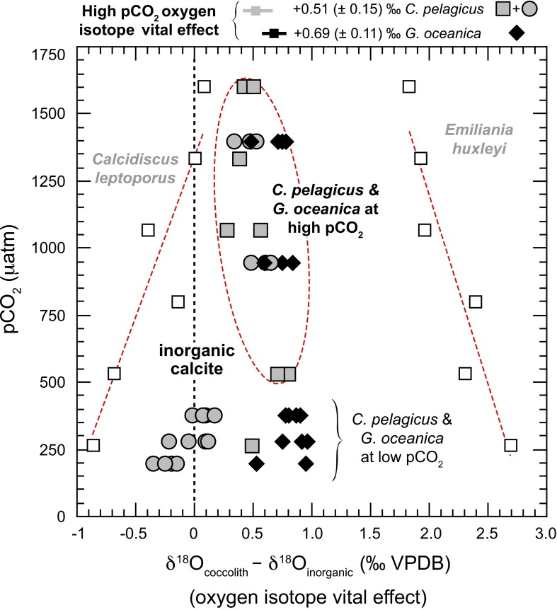 Fig. S3.