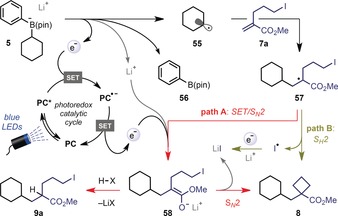 Scheme 2