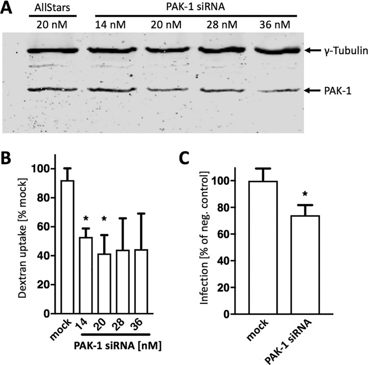 FIG 2