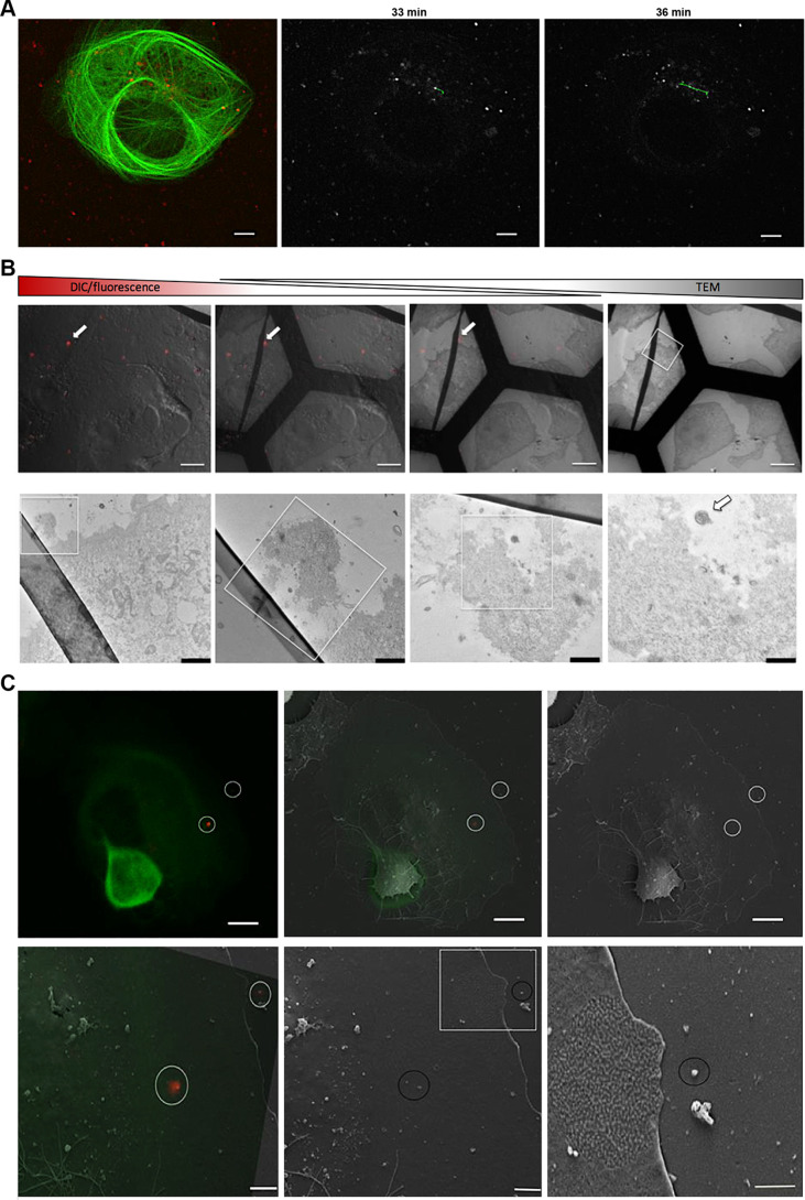 FIG 3