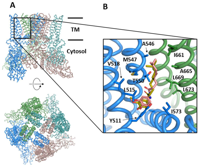 Figure 4