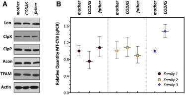 Figure 5