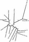 FIG. 5.