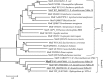 FIG 6