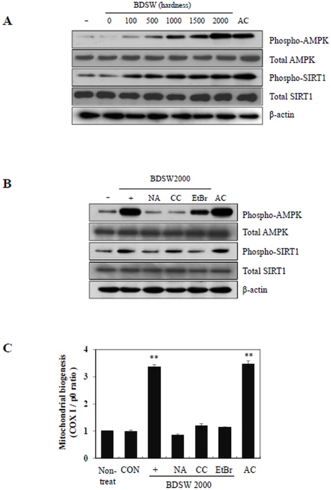 Fig 5