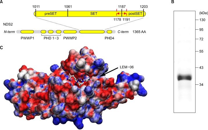 Figure 1.