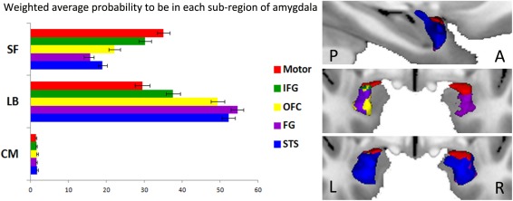 A Direct Amygdala‐motor Pathway For Emotional Displays To Influence 