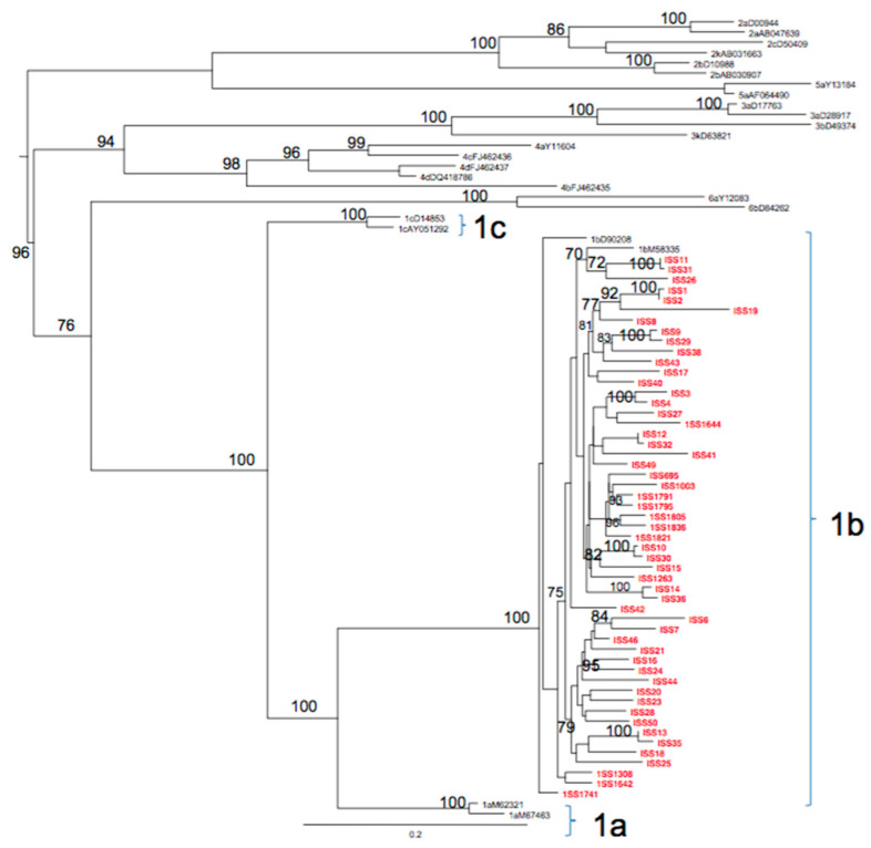 Figure 1