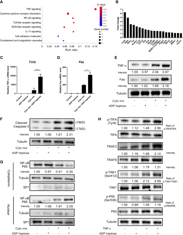 Figure 4