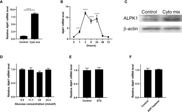 Figure 1