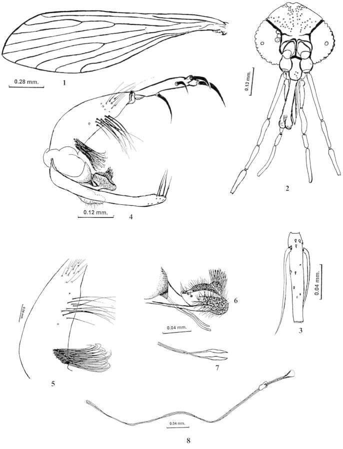 Figs. 1–8.