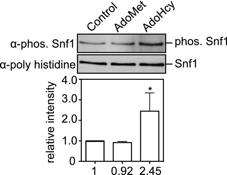 Fig. S5.