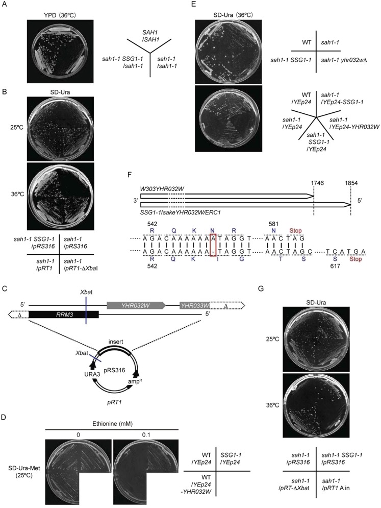 Fig. S1.