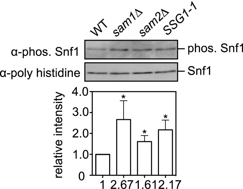 Fig. S3.