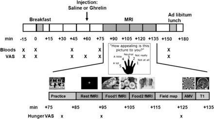 FIGURE 1.