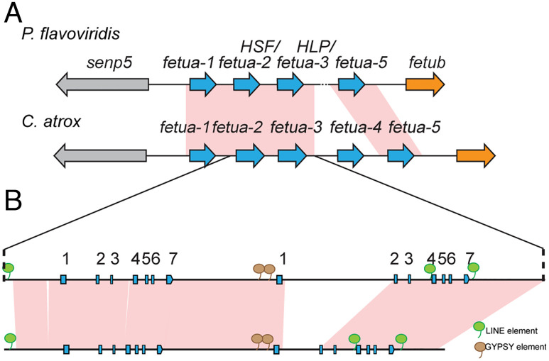 Fig. 8.