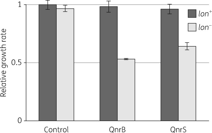 Figure 2.