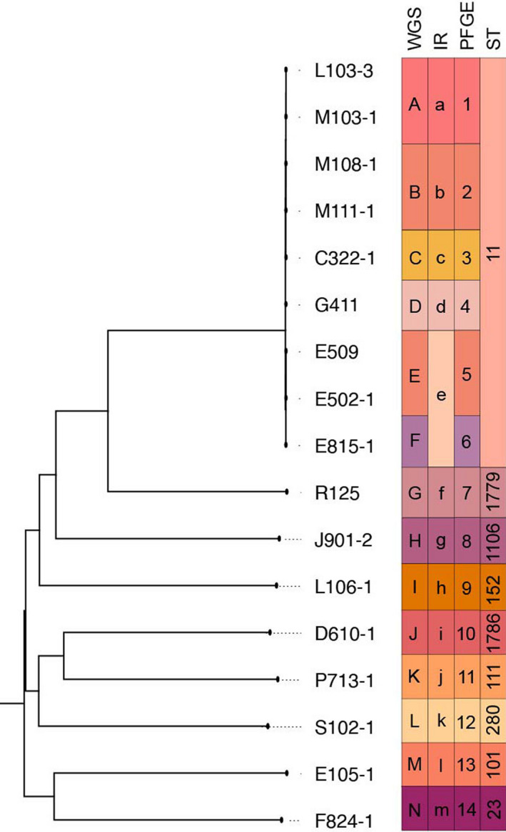 Fig. 4