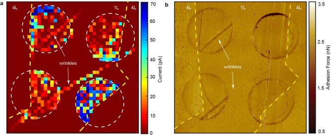 Extended Data Fig. 6