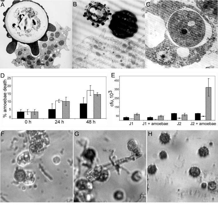 FIG. 8.