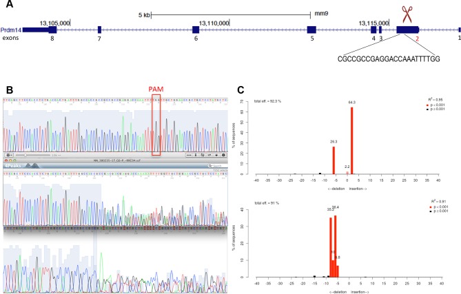 Figure 3—figure supplement 2.