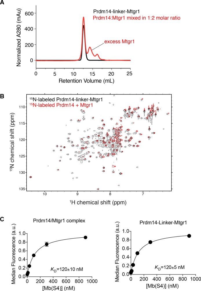 Figure 5—figure supplement 1.