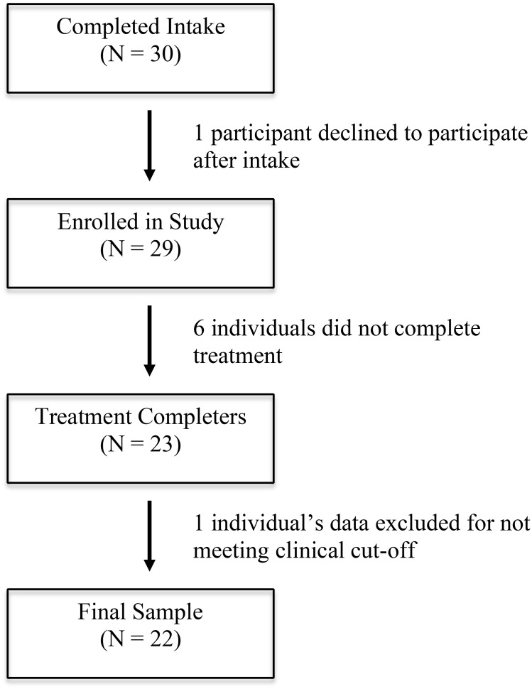 FIGURE 1