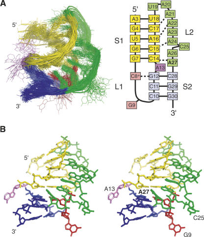 FIGURE 4.