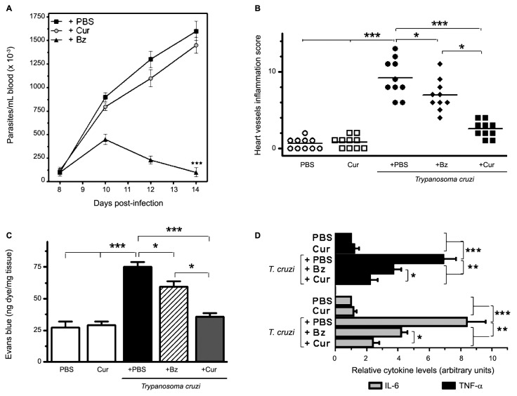 Fig. 3: