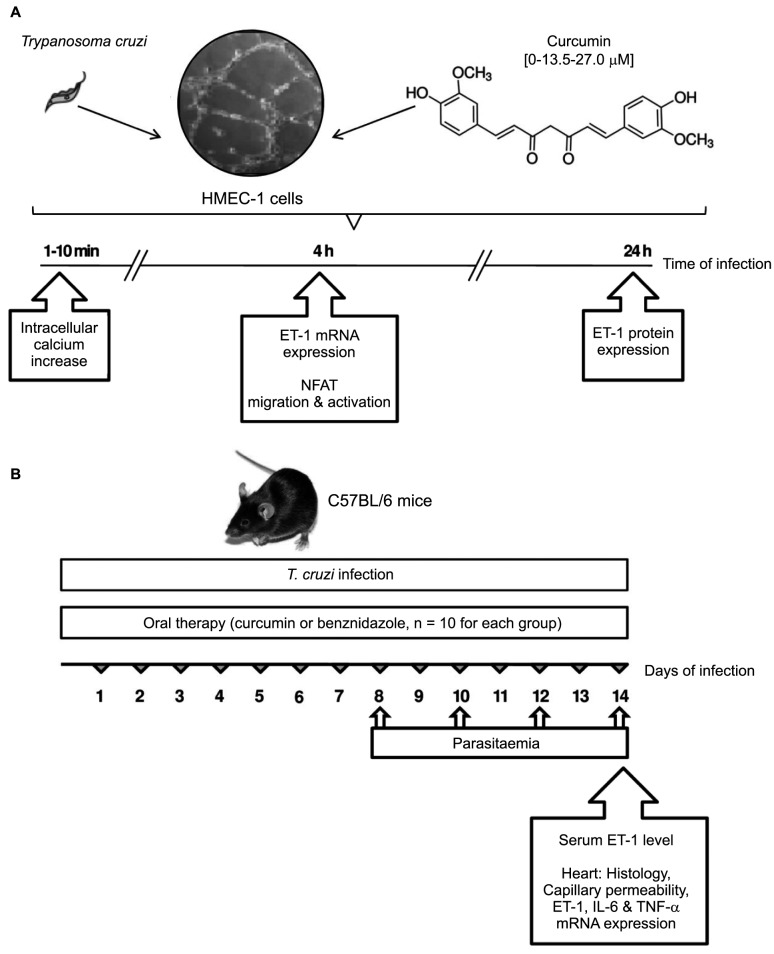 Fig. 1: