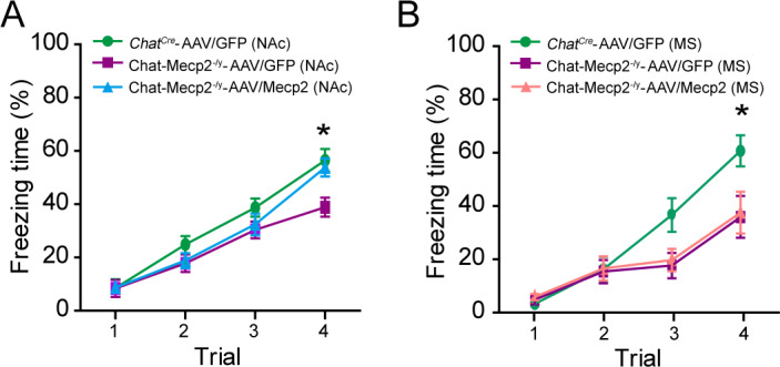 Figure 2—figure supplement 2.