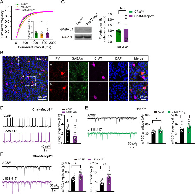 Figure 3—figure supplement 2.