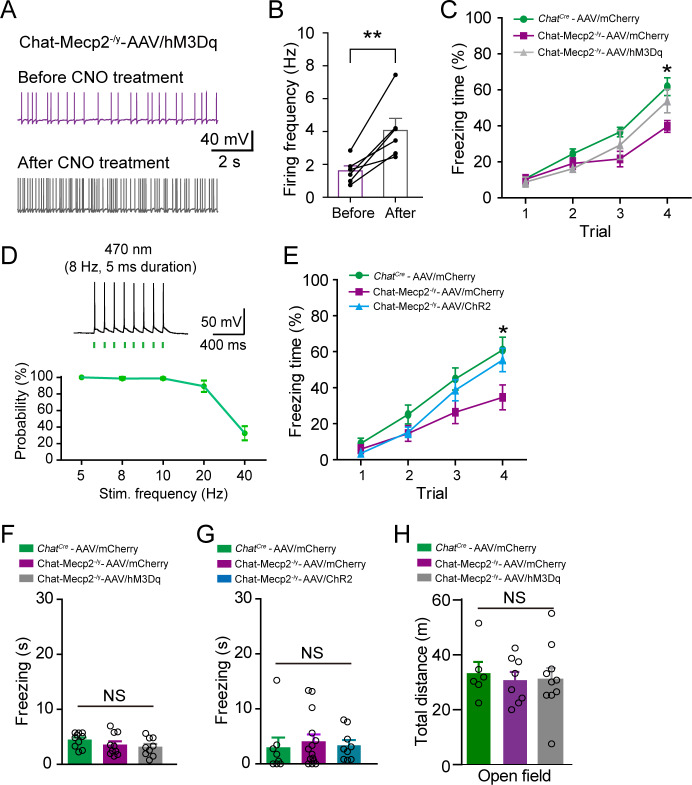 Figure 4—figure supplement 1.