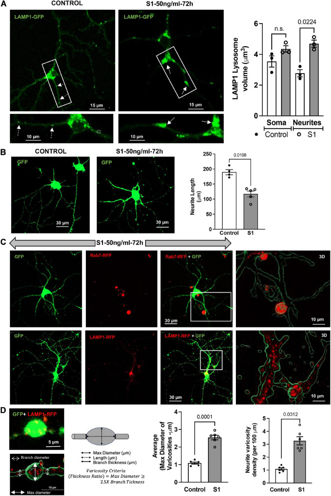 FIGURE 3