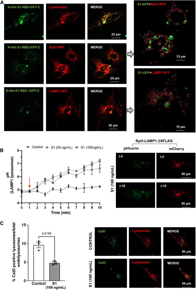 FIGURE 2