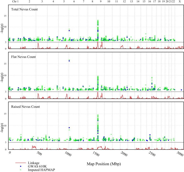 Figure 1