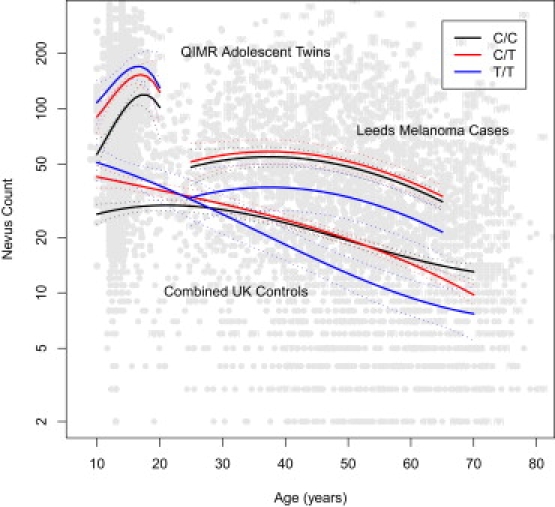 Figure 2